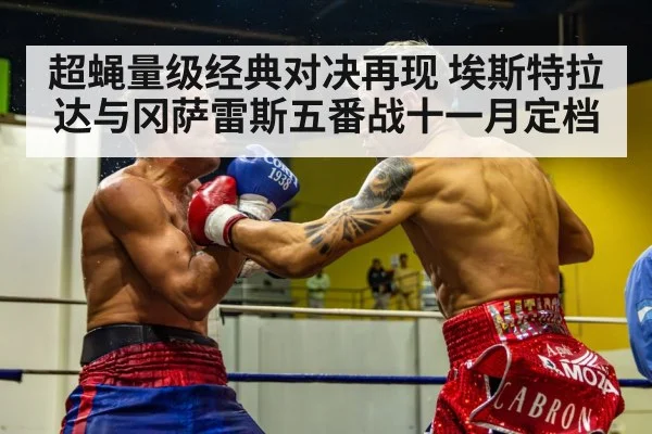超蝇量级经典对决再现 埃斯特拉达与冈萨雷斯五番战十一月定档